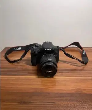 stock