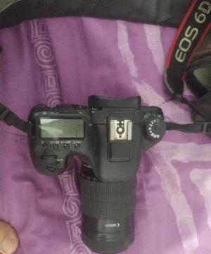 stock