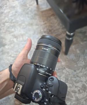 stock