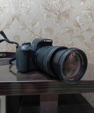 stock