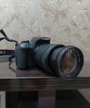stock