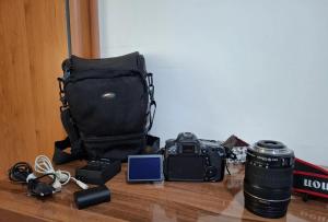stock
