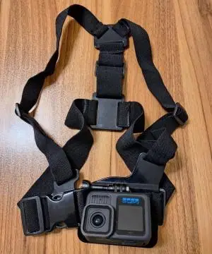 stock