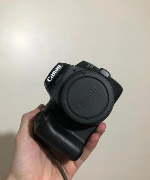 stock