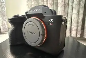 stock