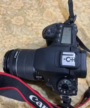 stock