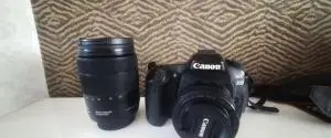 stock