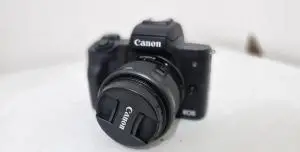 stock