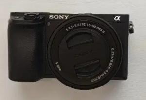 stock