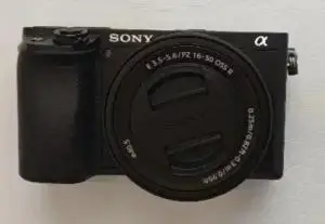 stock