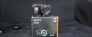 stock
