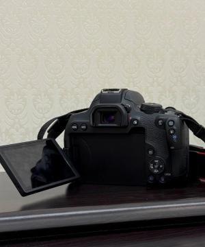 stock