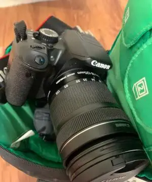 stock