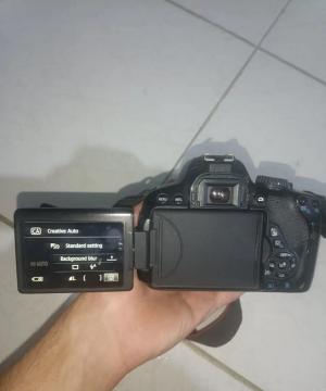 stock