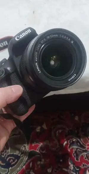 stock