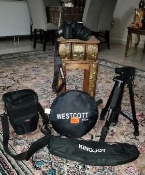stock
