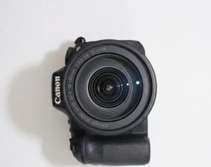 stock