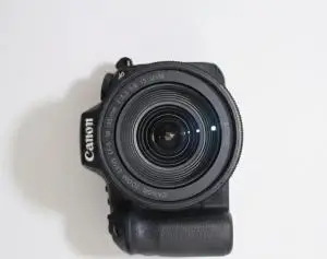 stock
