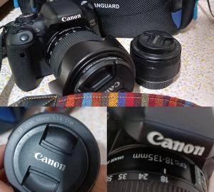 stock