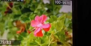 دوربین عکاسی کنون 60d دست دوم