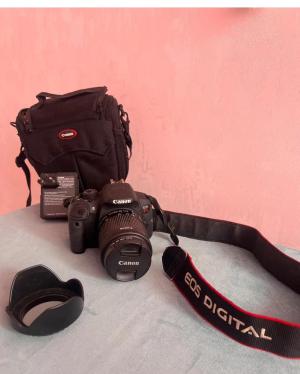 stock