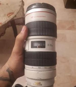 stock