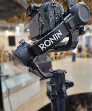 stock