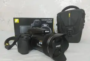 stock