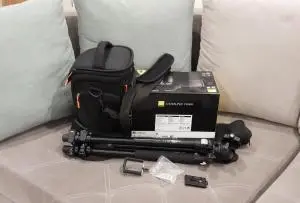 stock