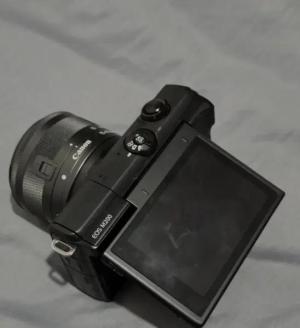 stock
