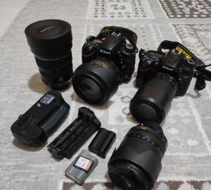 stock