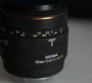 stock
