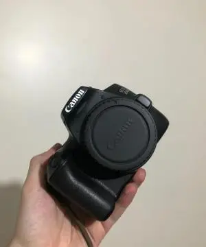 stock