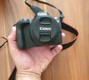 stock