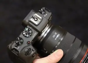 stock