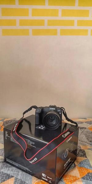 stock