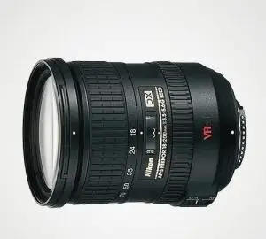 stock