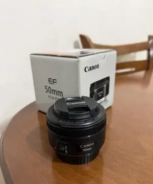 stock