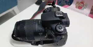 stock