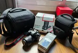stock