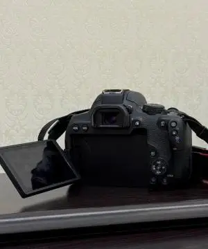 stock