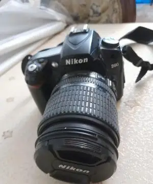 stock