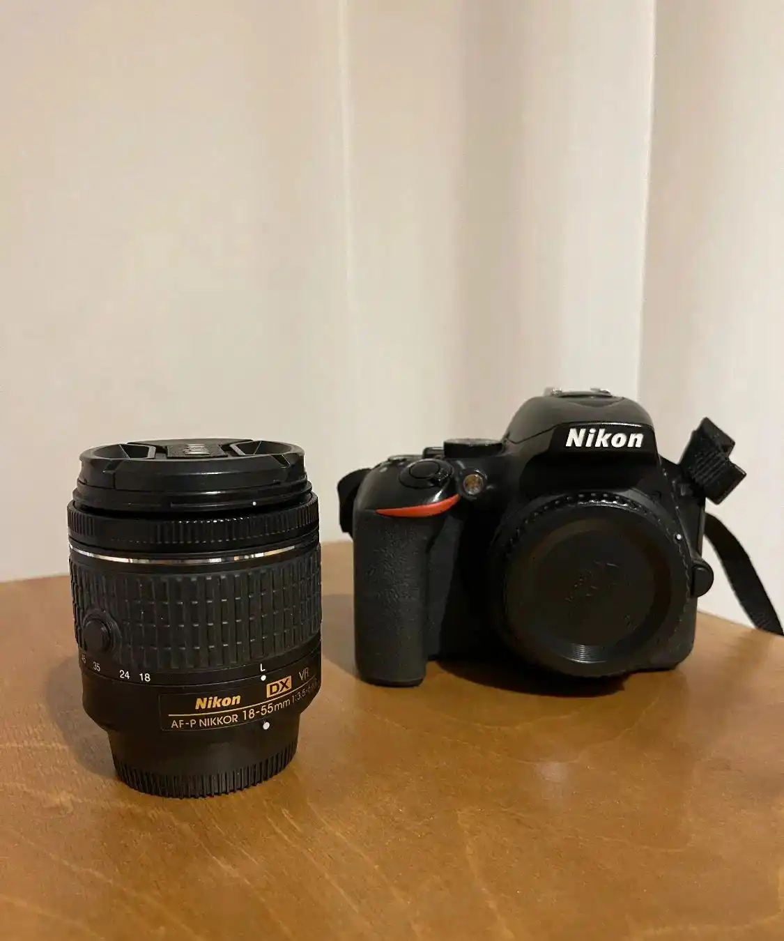دوربین Nikon D5600 دست دو