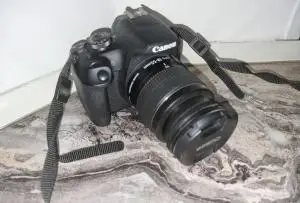 stock