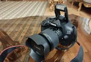 stock