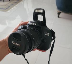 stock