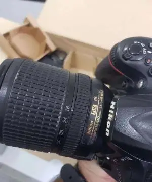 stock