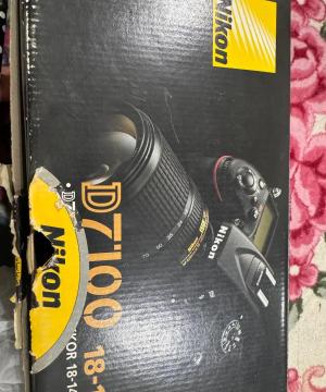 stock