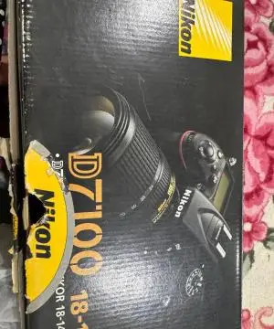 stock