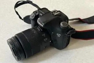 stock